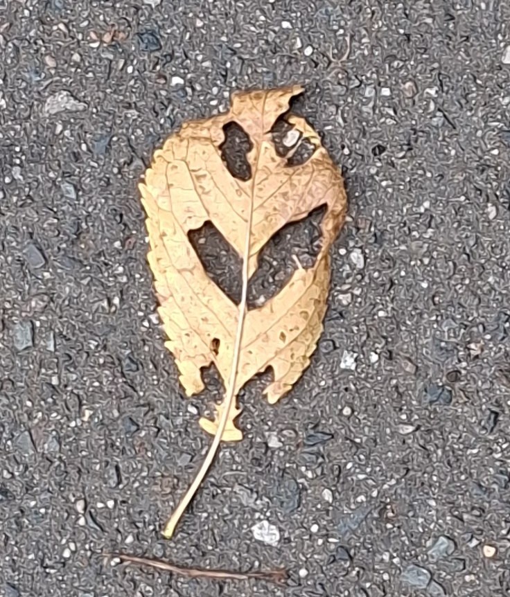hören
